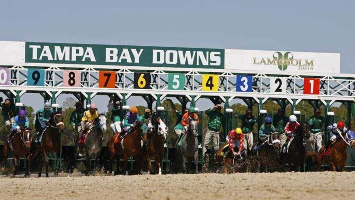 Bet $250 and get $25 at Tampa Bay downs