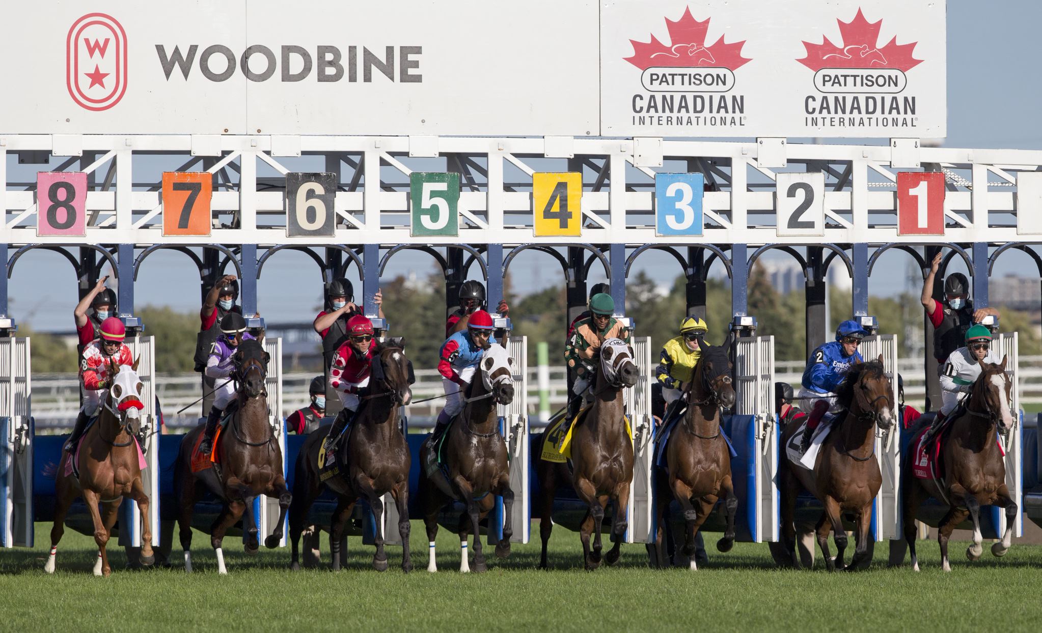 Bet & Get Special at Woodbine (TH)